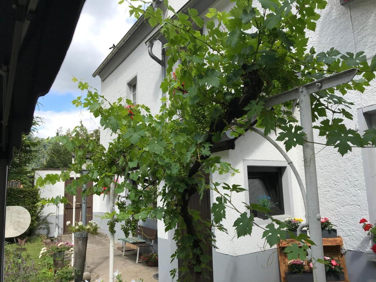 Lahnmündung Lahnstein